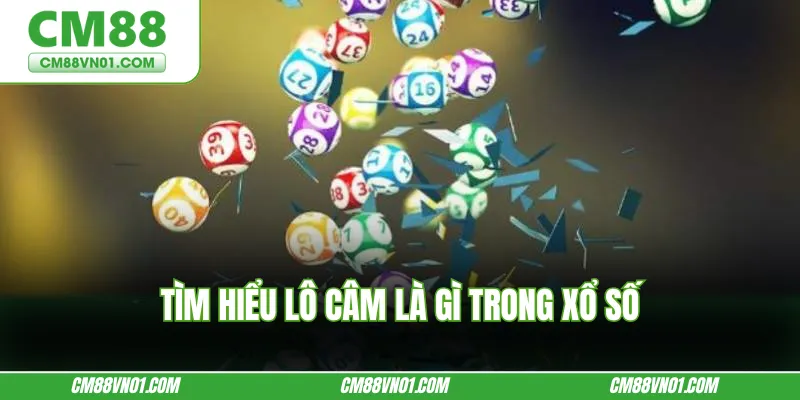 Tìm hiểu lô câm là gì trong xổ số